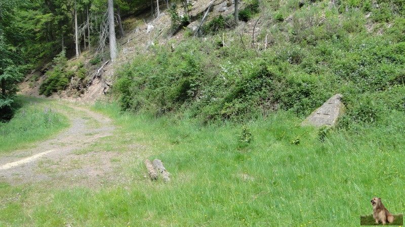 Ritterstein Nr. 149-4 Pechhütte.JPG - Ritterstein Nr.149  Pechhütte                                